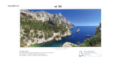 REF B9  CARTES POSTALES - Collection - B -   SUGITON TORPILLEUR