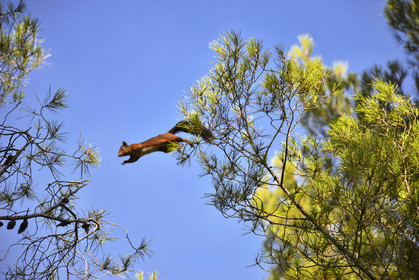 MISE A  JOUR  en cours