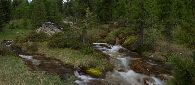 montagne haute alpes ,queyras, mercantour,alpes de haute provence,alpes maritime
