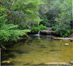 Photo de la sainte baume