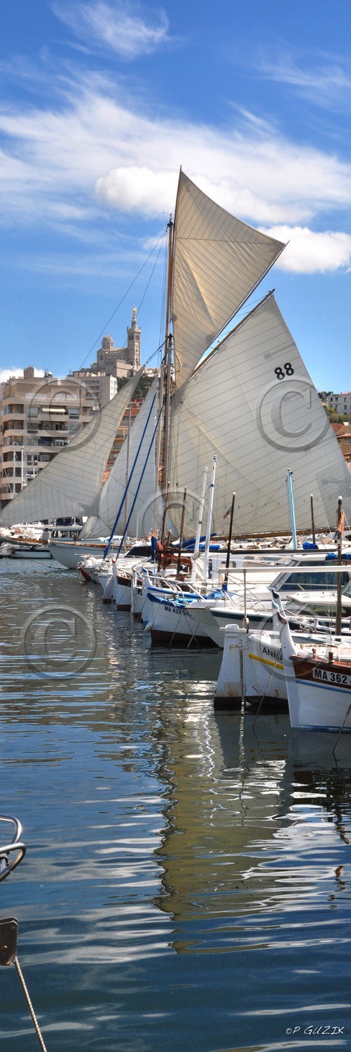 20x60-voilier-dsc_0655-copie.jpg