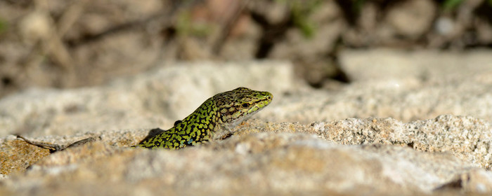 MISE A  JOUR  en cours