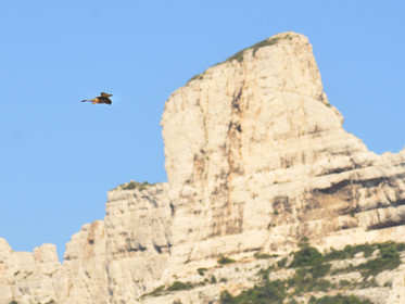 MISE A  JOUR  en cours