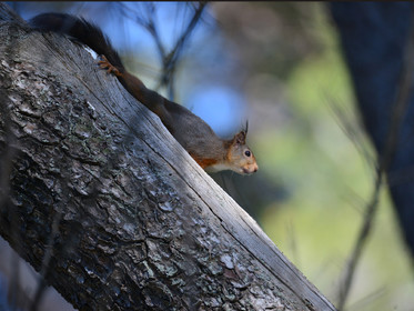 MISE A  JOUR  en cours