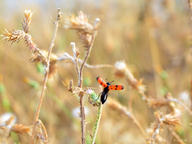 MISE A  JOUR  en cours