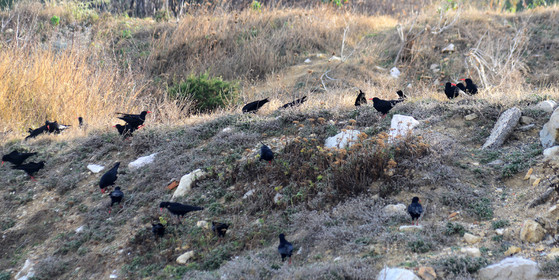 MISE A  JOUR  en cours