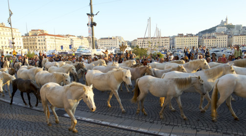 Marseille un jour d'octobre