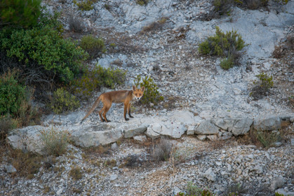 MISE A  JOUR  en cours