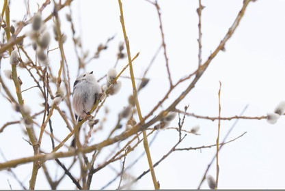 ST VERANT , QUEYRAS,