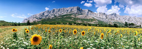 paris-4-95x372021-sainte-victoire.jpg