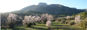 Photo de la sainte baume