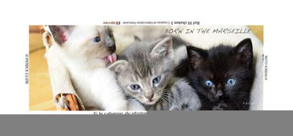 COLLECTION MAGNETIQUE&nbsp;MAGNET MARSEILLE et CALANQUE ,PROVENCE&nbsp; ........