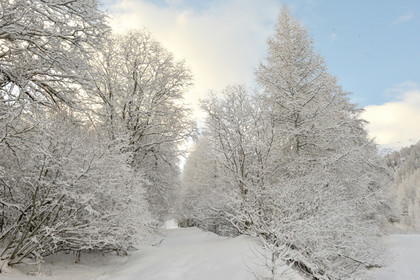 ALPES DE HAUTE PROVENCE