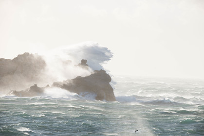 marche de noel de marseille 2019   2020