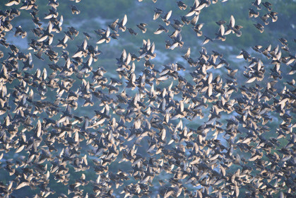 MISE A  JOUR  en cours