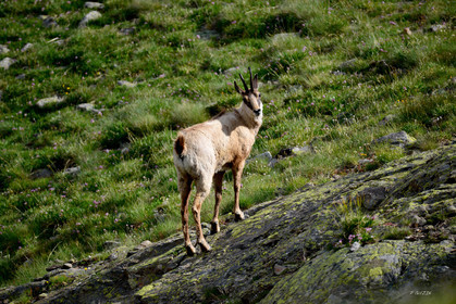 MISE A  JOUR  en cours