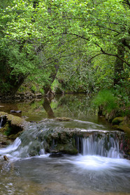 Photo de la sainte baume