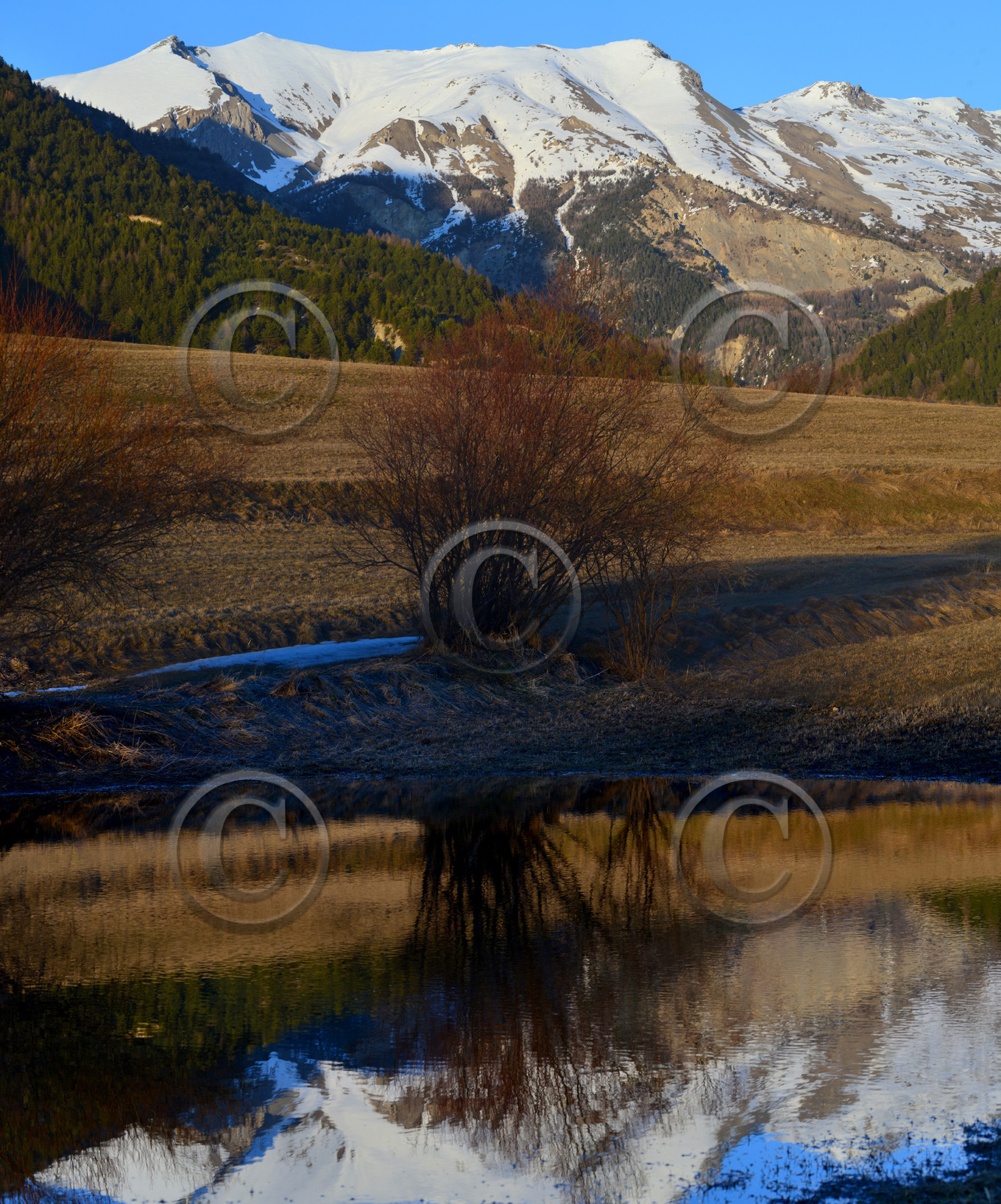 ceillac-3panorama-sans-titre1.jpg