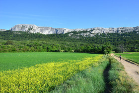 SAINTE BAUME