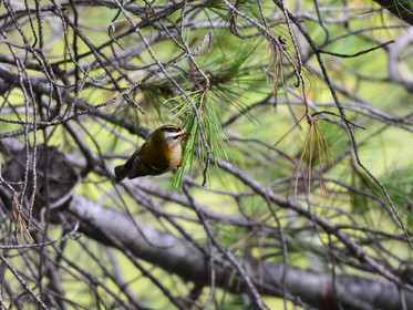 MISE A  JOUR  en cours