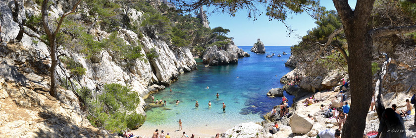 Selection format 20X60 cm