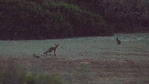 MISE A  JOUR  en cours