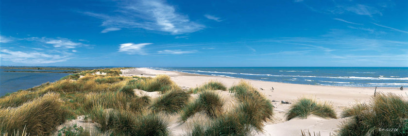 Selection format 20X60 cm