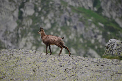 MISE A  JOUR  en cours