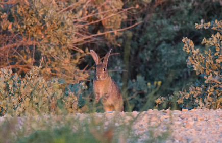 MISE A  JOUR  en cours