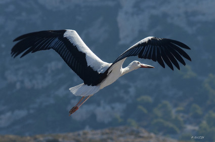 MISE A  JOUR  en cours