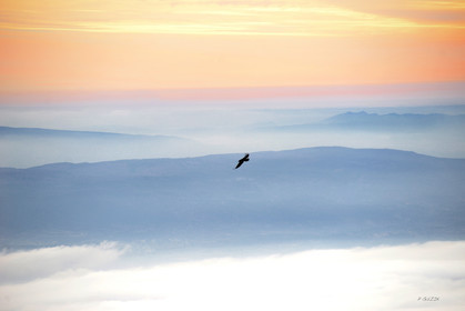 MISE A  JOUR  en cours