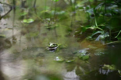 MISE A  JOUR  en cours