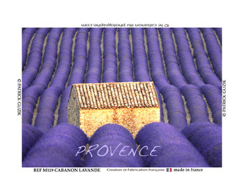 REF M119-Provence cabanon dans la lavande. -8054.jpg