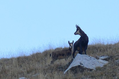 MISE A  JOUR  en cours