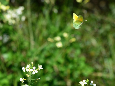 MISE A  JOUR  en cours