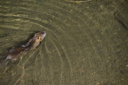 MISE A  JOUR  en cours