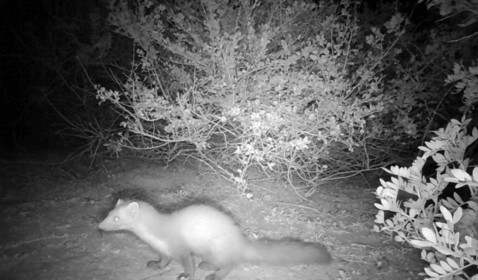 MISE A  JOUR  en cours