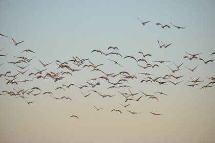 MISE A  JOUR  en cours