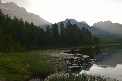 DANS LES ALPES DU SUD  , LE QUEYRAS