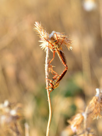 MISE A  JOUR  en cours