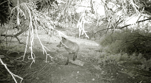 MISE A  JOUR  en cours