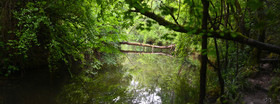 Photo de la sainte baume