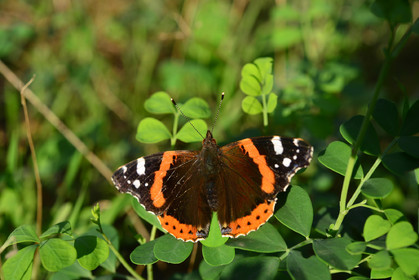 MISE A  JOUR  en cours