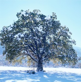 Photo de la sainte baume
