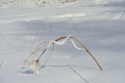 ALPES DE HAUTE PROVENCE