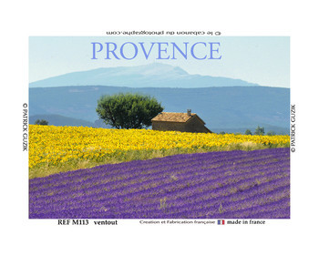 REF M113-PROVENCE lavande et tournesol ventoux-2025-8054.jpg