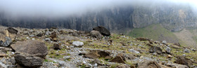montagne haute alpes ,queyras, mercantour,alpes de haute provence,alpes maritime