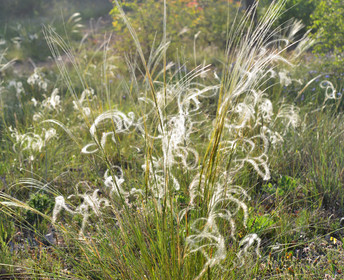 Photo de la sainte baume