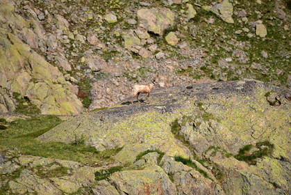 MISE A  JOUR  en cours