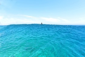 aaaaaadsc_2613-le-haut-de-la-vague-copiekjbkb-copie.jpg